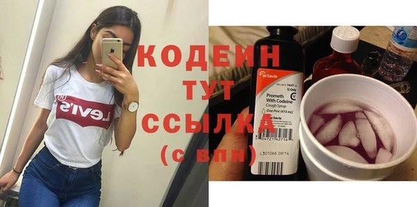 крисы Абаза