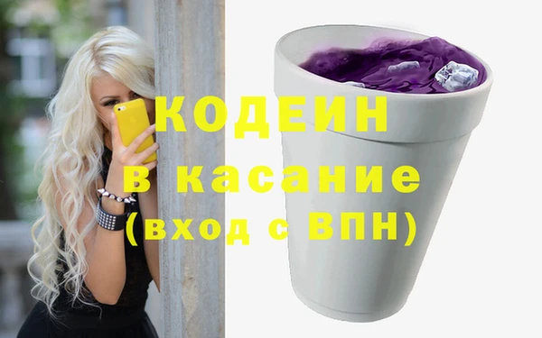 крисы Абаза